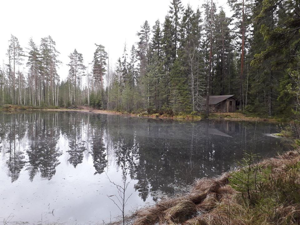 Metsälaavu tammi2020, erä, Karjalohja, Huhkaniemi. Nummijärvi, vaellus, loma, syksy, talvi
